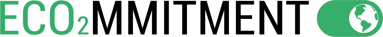 Ecommitment