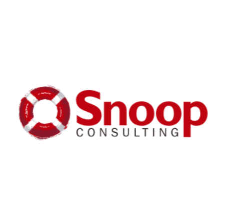 Snoop Consulting